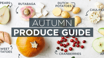 Fall Produce Guide, What's in Season Right Now