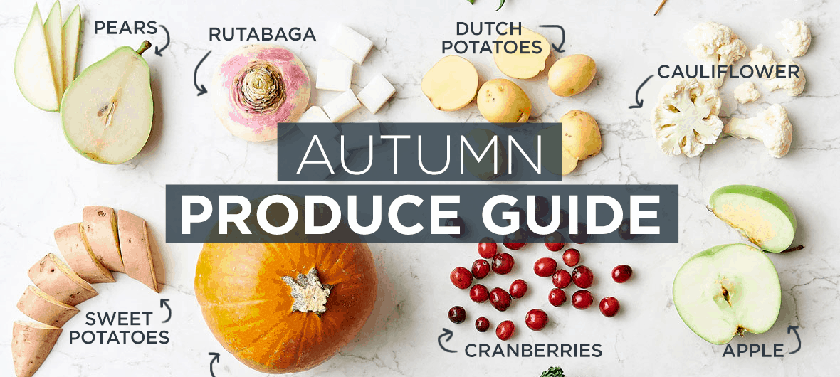 FALL PRODUCE GUIDE The Fresh 20