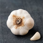 Garlic